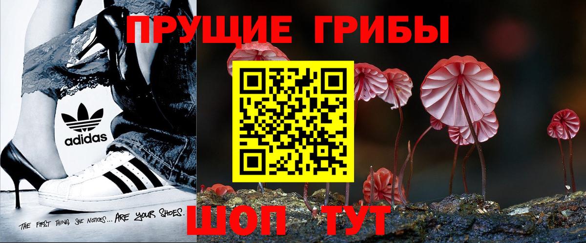 купить   Вход с VPN  Псилоцибиновые грибы Psilocybine cubensis  Корсаков  Псилоцибиновые грибы GOLDEN TEACHER 