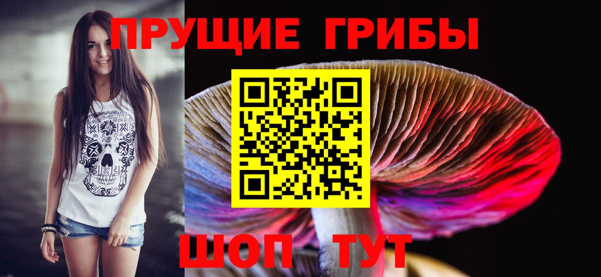 Галлюциногенные грибы мицелий Корсаков