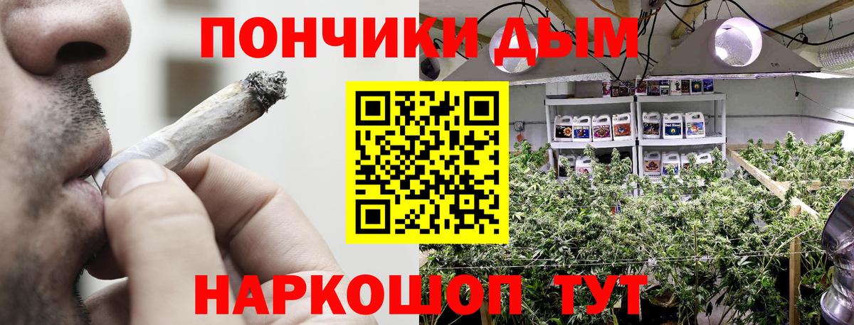 Каннабис гибрид Корсаков
